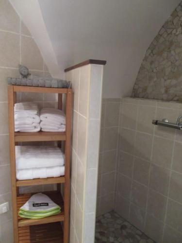 a bathroom with a shower and a towel rack with towels at Location studio meublé 19m² proche de la mer in Aubais