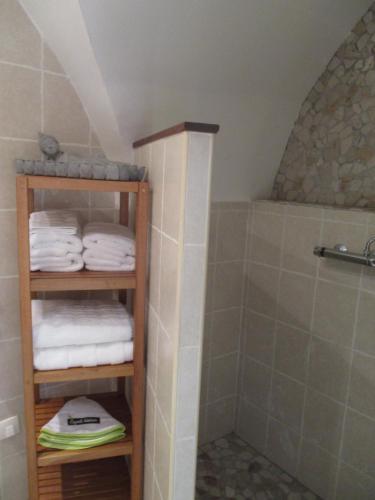 a bathroom with a shower and a shelf with towels at Location studio meublé 19m² proche de la mer in Aubais