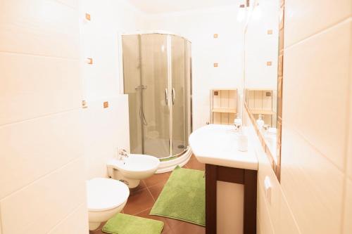 a bathroom with a sink and a toilet and a shower at APARTAMENTY BIAŁA MEWA in Ustka