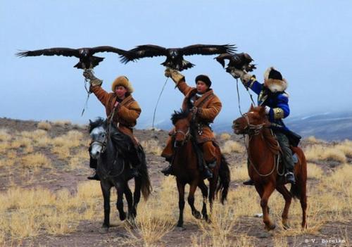 un grupo de personas montando caballos con aves en Royal Ak-Terek Issyk-kul en Ak-Terek