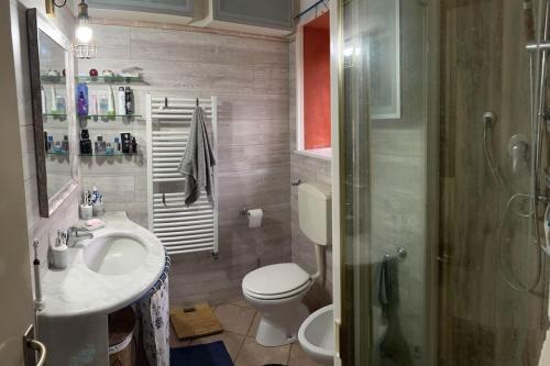 La salle de bains est pourvue de toilettes, d'un lavabo et d'une douche. dans l'établissement Relax in Casolare del 1700, à Sarzana