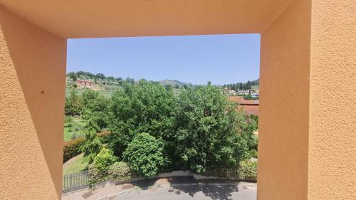 a view of a tree from a window of a building at La Torre in Castiglion Fiorentino