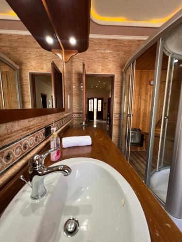 a bathroom with a white sink and a mirror at Green Garden Villa in Durrës