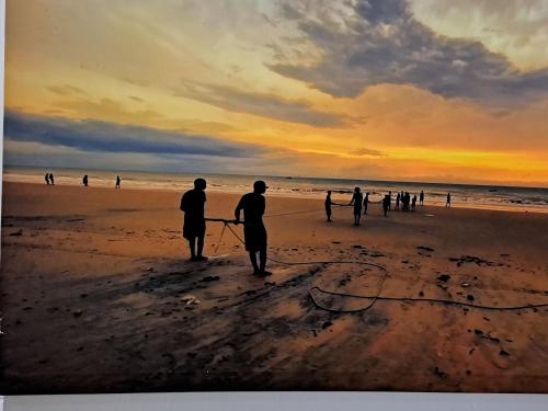 Landskap semula jadi dekat dengan hotel