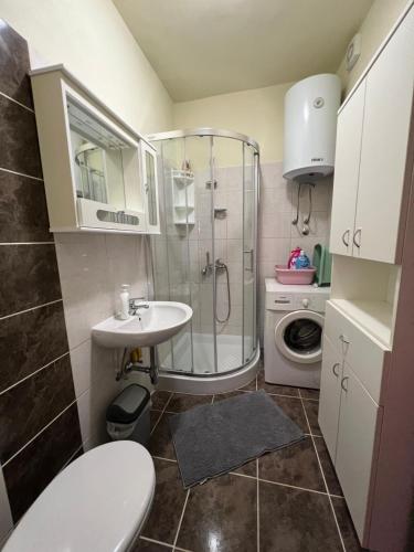 a bathroom with a shower and a toilet and a sink at Apartment Anamarija in Poreč