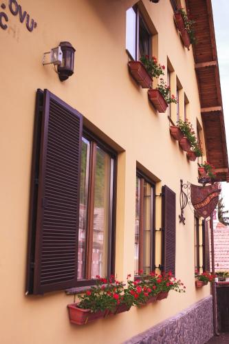 a building with potted plants on the side of it at Pension Brasovu Vechi in Braşov
