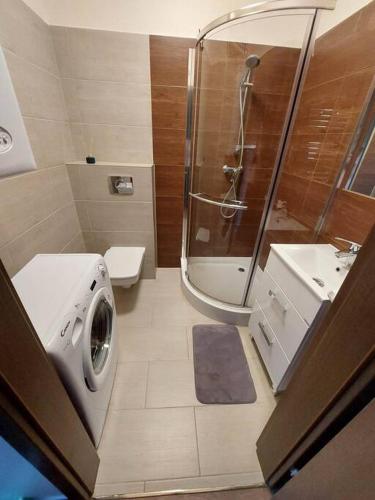 a bathroom with a washing machine and a shower at Apartament Wrzosowe Pola in Wrzosowo