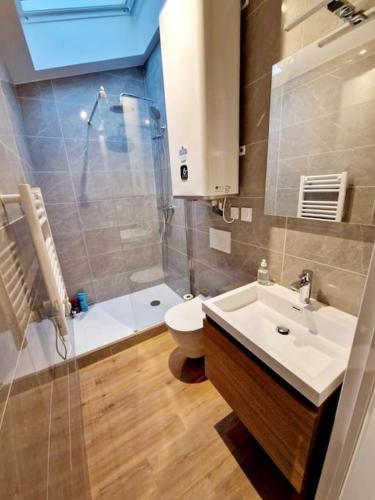 une salle de bain avec un lavabo, des toilettes et une douche dans l'établissement Appart douillet hypercentre neuf climatisé, à Valence