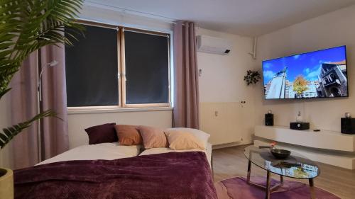 a living room with a couch and a large window at Wohnung: Beast. Bis 6 Personen, Klima, Massageliege, 3x TV in Cremlingen
