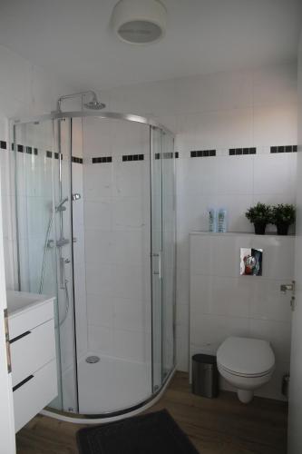 a bathroom with a shower and a toilet at Apartmány Hluboká nad Vltavou s výhledem na zámek in Hluboká nad Vltavou