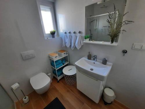 a white bathroom with a toilet and a sink at Apartman Eva in Šimuni