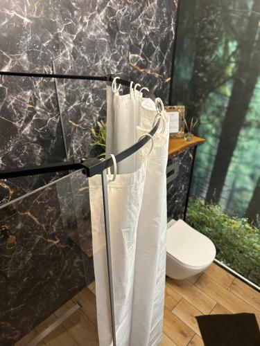 a white shower curtain in a bathroom with a toilet at Appartement fliegender Hirsch in Bäk