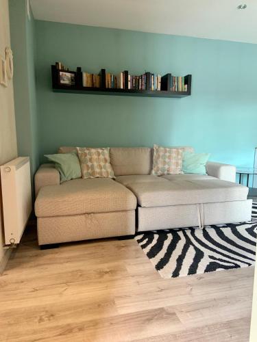 a couch in a living room with a book shelf at Cozy Independent guest apartment, free parking in Tomaszów Mazowiecki