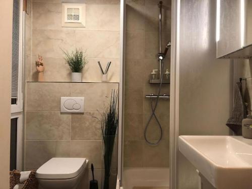 a bathroom with a shower and a toilet and a sink at Kreischberg Chalet Ferienpark 3 in Sankt Lorenzen ob Murau