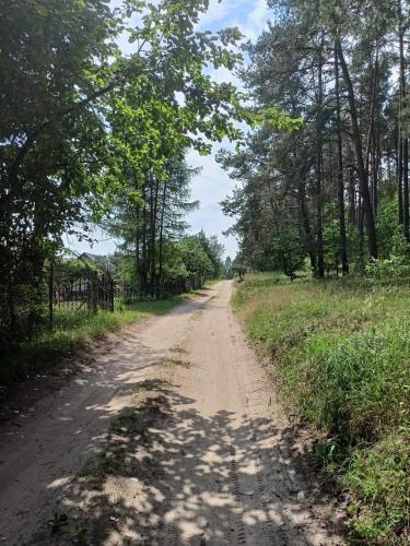 Příroda nedaleko vily
