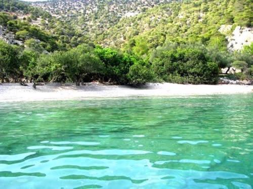 a body of water with trees and a beach at Beachfront self-catering studios in Psatha Bay - 60km from Athens in Psatha