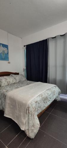 La puerta azul – Photos 5