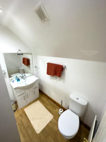 a bathroom with a white toilet and a sink at Clare Forest Apartment in Ballycastle