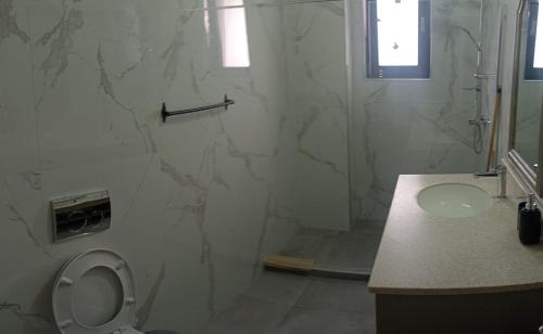 a bathroom with a shower and a toilet and a sink at Iris Apartament Eforie Nord in Eforie Nord