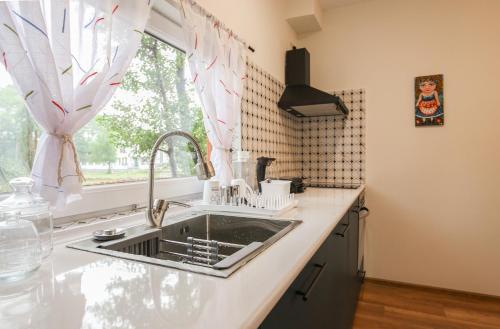 cocina con fregadero y ventana en Cottages in Kaprovani "Family nest" en Ureki