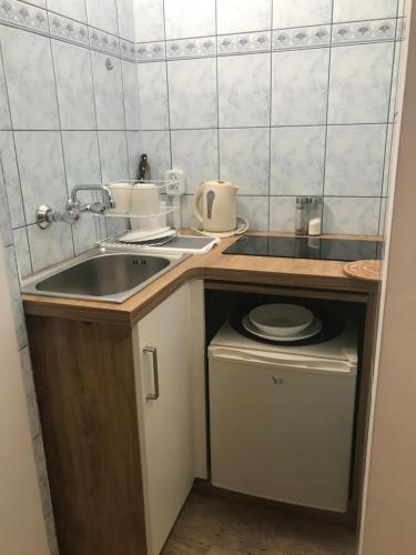 een kleine keuken met een wastafel en een wasmachine bij Pokój 2 osobowy z aneksem kuchennym in Zakopane