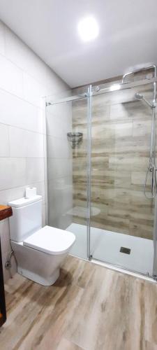een badkamer met een toilet en een glazen douche bij Cruces Hospital Metro in Barakaldo