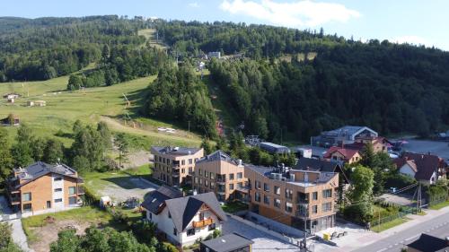 an aerial view of a town with houses and trees at XYZ eXtreme You Zen in Szczyrk