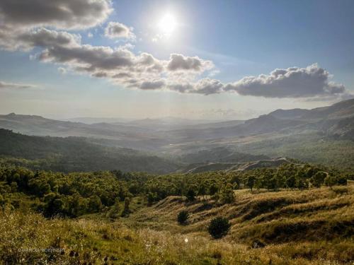 Corleone GUESTHOUSE – Photos 4