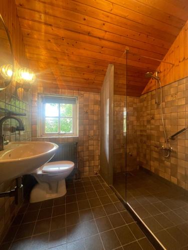 een badkamer met een toilet, een wastafel en een douche bij Unieke Twentse boerderij - 4 bedrooms & huge private garden in Den Ham