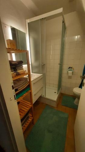 ein Badezimmer mit einer Dusche, einem WC und einem grünen Teppich in der Unterkunft ANNAS APARTMENTs in Dajla