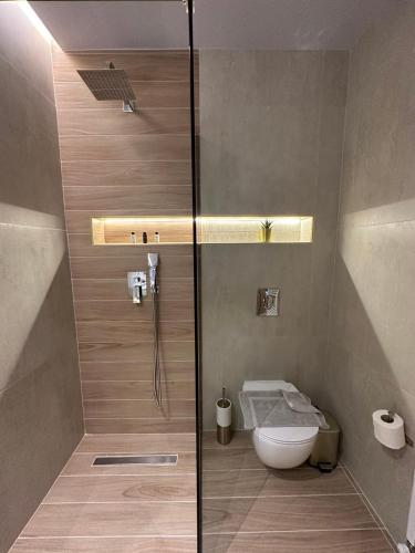 a shower stall with a toilet in a bathroom at Meteora Gold and Glass in Kalabaka