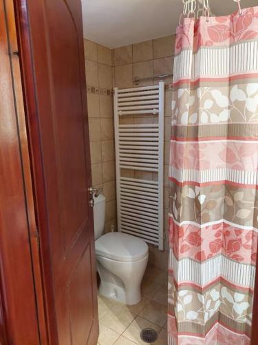 a bathroom with a toilet and a shower curtain at Peaceful and quiet apartment. in Aliki