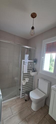 uma casa de banho branca com um WC e um chuveiro em Apartamento Soniando en Guara em Buera