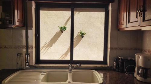 a kitchen window with two potted plants on the window at Casa Elbi in Figueiró dos Vinhos