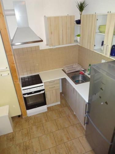 małą kuchnię ze zlewem i lodówką w obiekcie Luxusní apartmán v centru Božího Daru w mieście Boží Dar