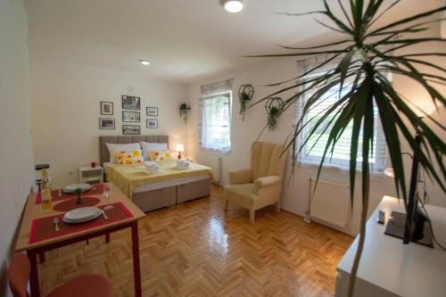 a living room with a bed and a potted plant at Studio Sunlight+ private parking in Novi Sad