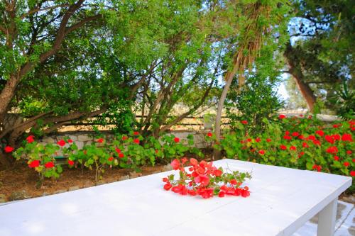 a white table with red flowers on it at Nicos Studios & Apartments in Logaras