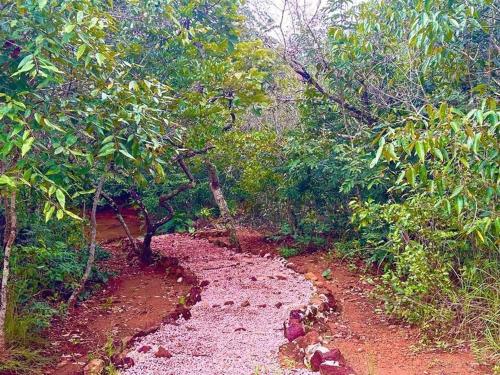 a dirt road in the middle of a forest at Casa para relaxar em Chapada dos Guimarães in Chapada dos Guimarães