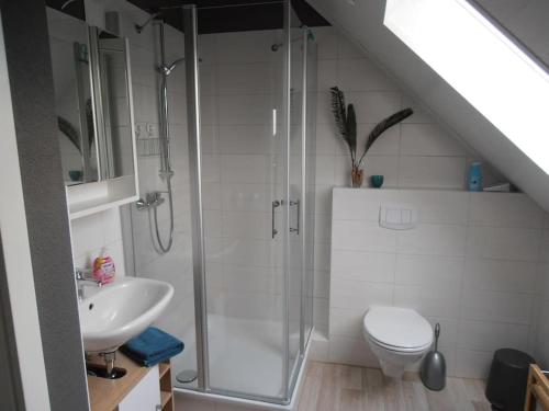 a bathroom with a shower and a toilet and a sink at Fewo Auszeit 1 in Harschbach