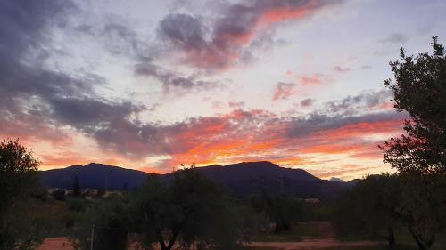 Fotografie z fotogalerie ubytování Agriturismo Corte degli Ulivi v destinaci Capoterra
