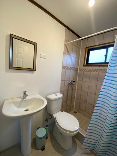 a bathroom with a toilet and a sink and a shower at Cabañas Loma Alta in Osorno