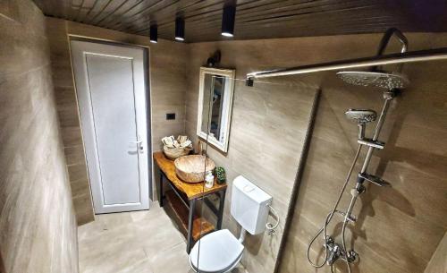 a small bathroom with a toilet and a shower at Coratina Cottage in Ulcinj