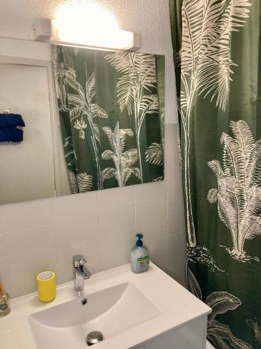 une salle de bain avec un lavabo et un rideau de douche dans l'établissement Bienvenue chez Méli et Dorian, à La Grande Motte