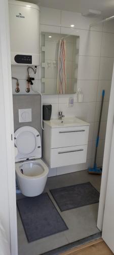 een kleine badkamer met een toilet en een wastafel bij Dajan in Almere