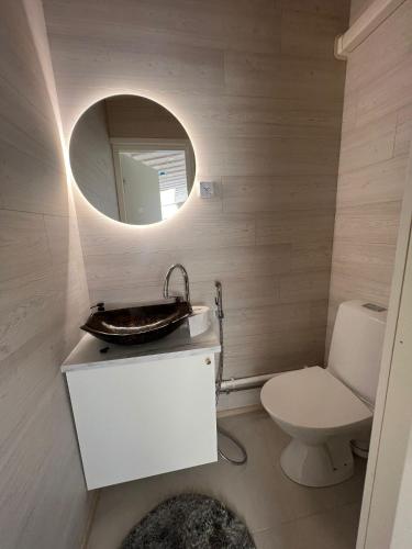 uma casa de banho com um lavatório, um WC e um espelho. em Himosranta Suite with sauna em Jämsä