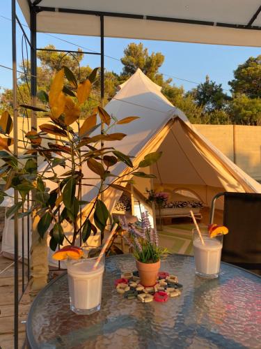 a table with potted plants on top of a tent at Estera Tent Camping in Zadar