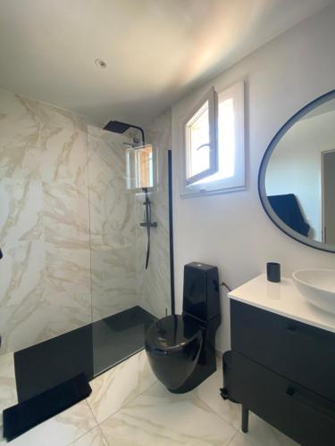 une salle de bain avec toilettes, lavabo et miroir dans l'établissement Maison cosy / Proche Lac, à Le Crès