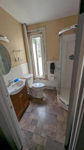 y baño con aseo, lavabo y ducha. en Historic Row House, en Elmira