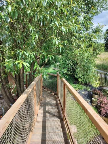 a walkway with a fence next to a tree at La Cabane d'Ode in Sainte-Ode