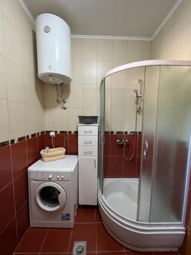 łazienka z prysznicem i pralką w obiekcie Hocevar apartment w mieście Herceg Novi